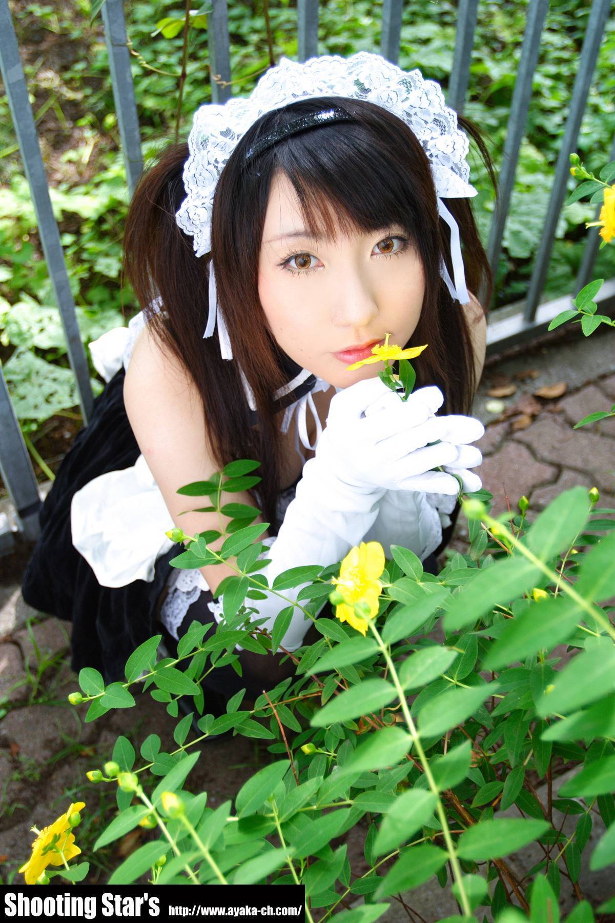 [Cosplay]  Sexy Maid with big boobs